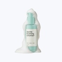 Gentle Foaming Cleanser